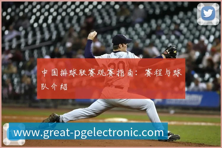 中国排球联赛观赛指南：赛程与球队介绍